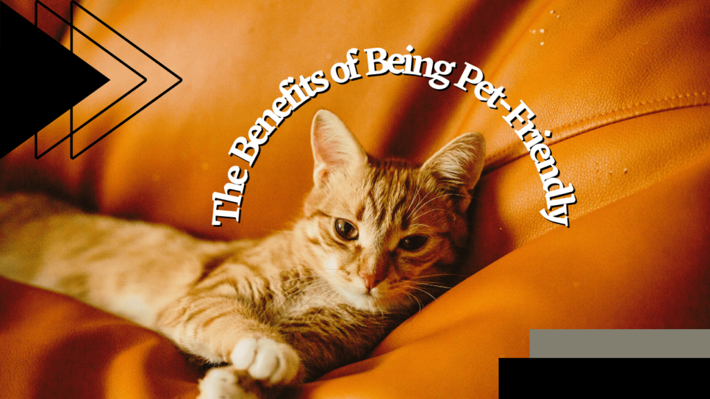 The Benefits of Being Pet-Friendly | Santa Rosa Property Management - Article Banner