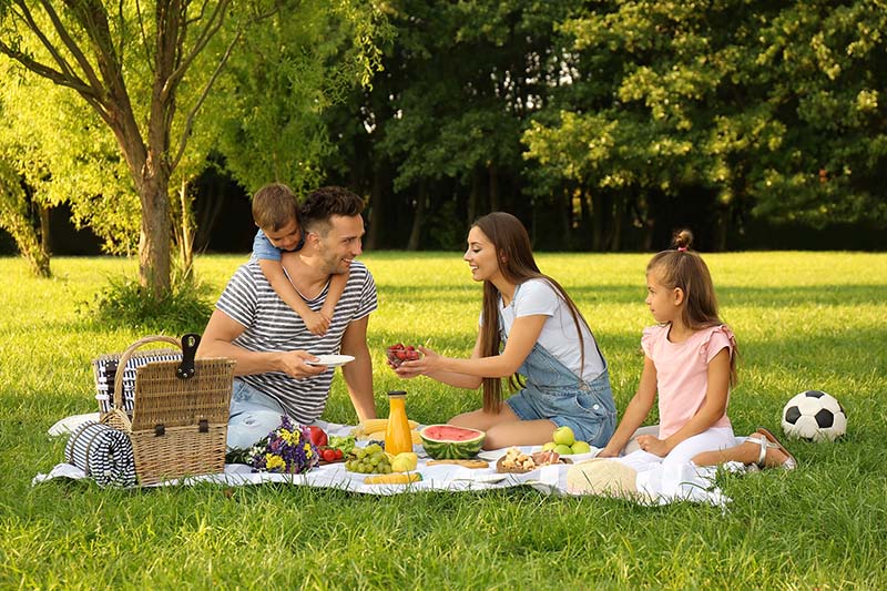 A family having a picnic in a park