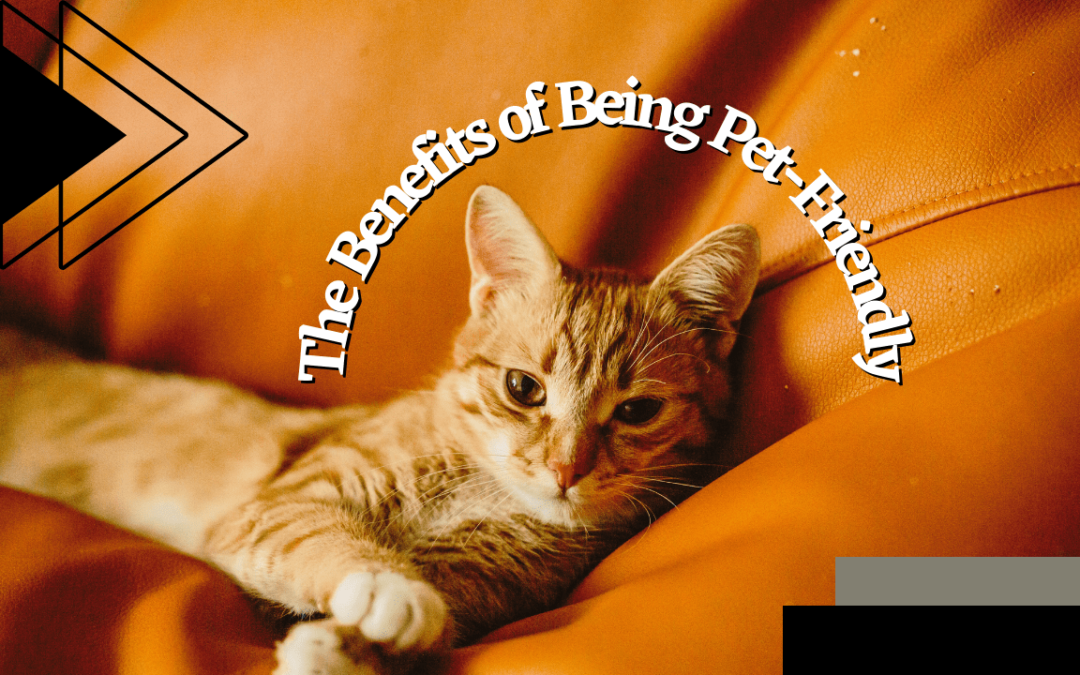 The Benefits of Being Pet-Friendly | Santa Rosa Property Management