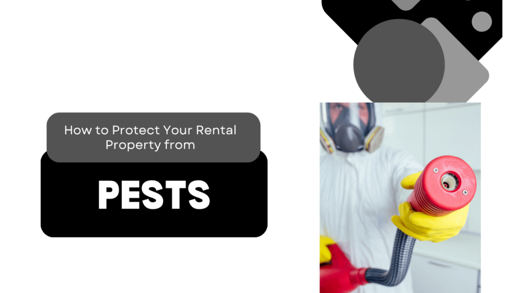 How to Protect Your Santa Rosa Rental Property from Pests - Article Banner