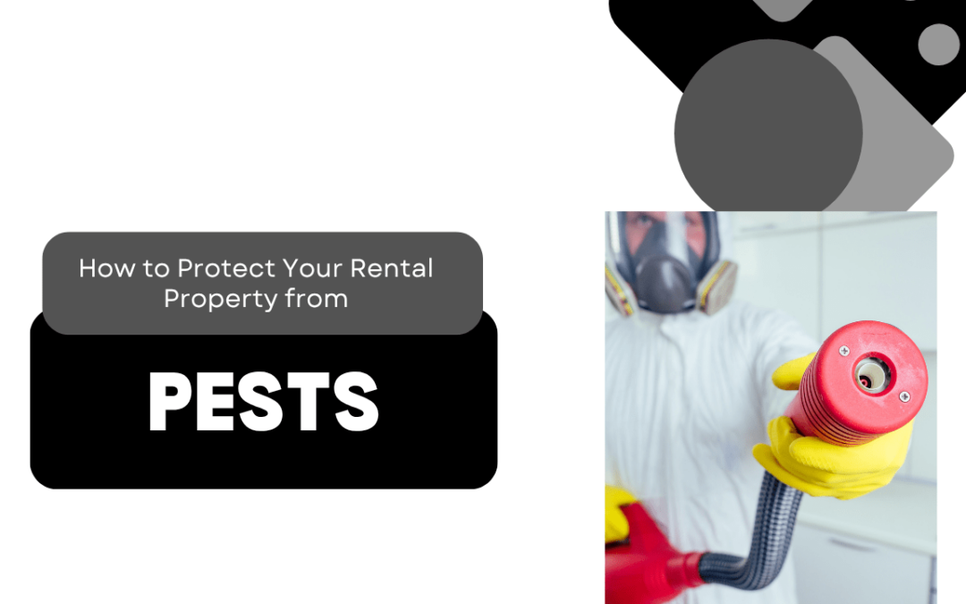 How to Protect Your Santa Rosa Rental Property from Pests