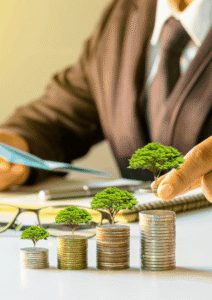 Real Estate Investor